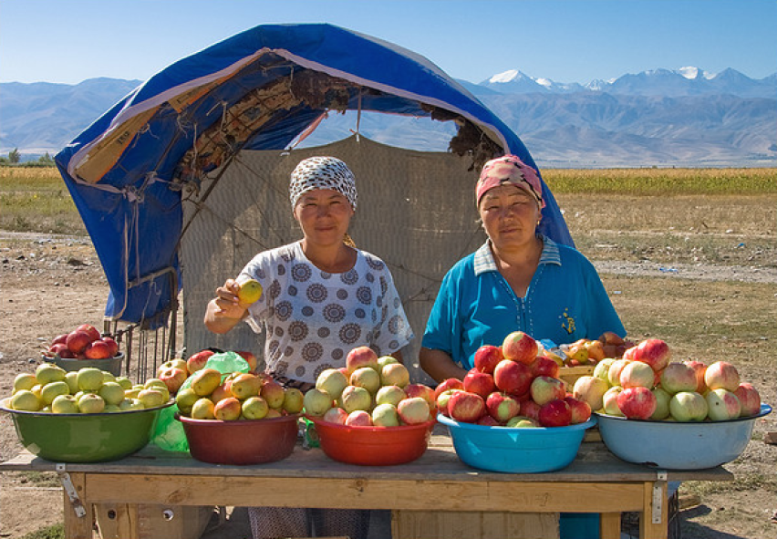 Selling apples at Issyk-Kul