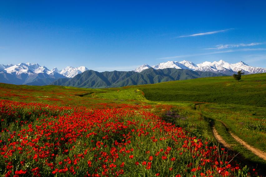 Kyrgyz Ala-Too Range