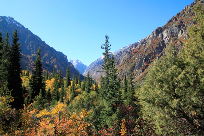 Autumn Kyrgyzstan