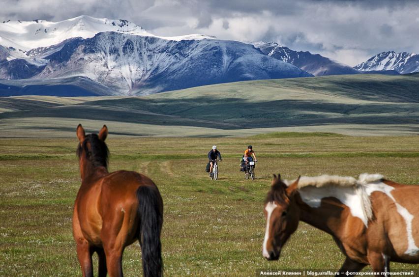 Horses at valley Kyrgyzstan