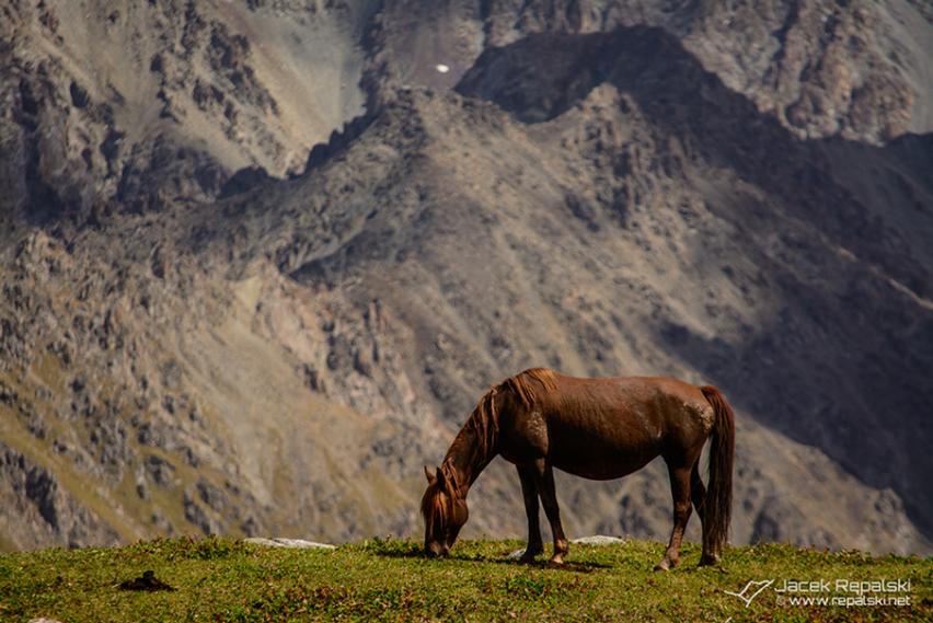 Karakol Gorge