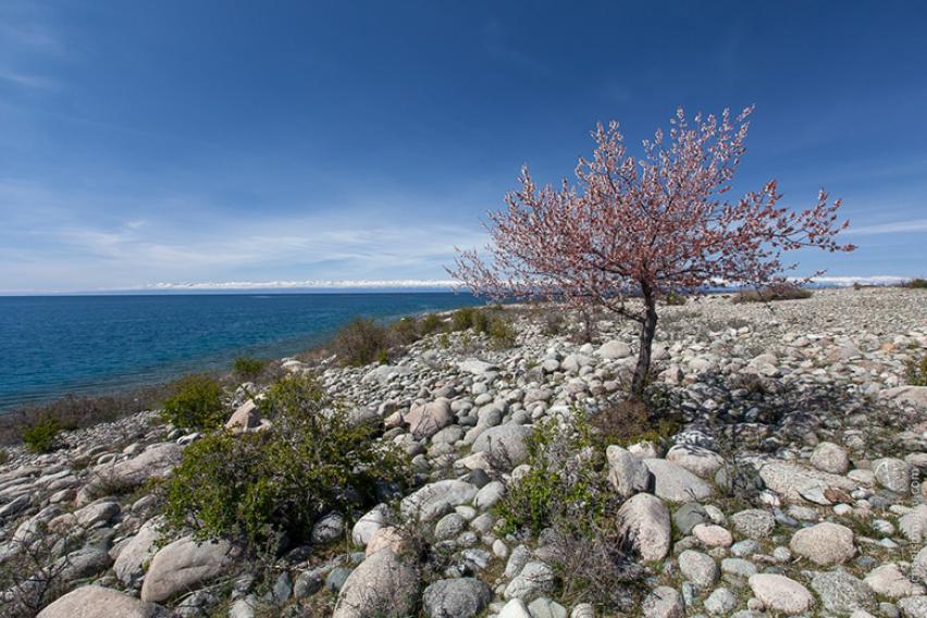 Issyk-Kul