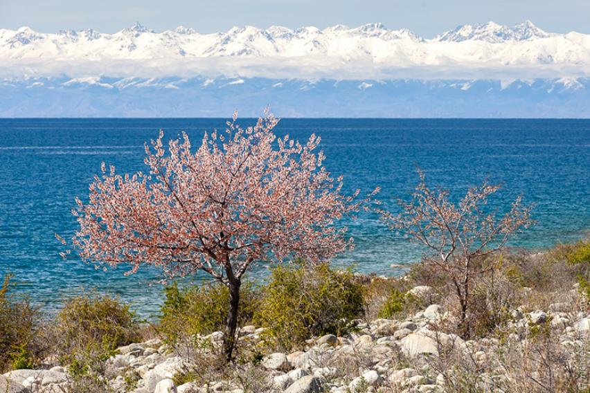 Issyk-Kul