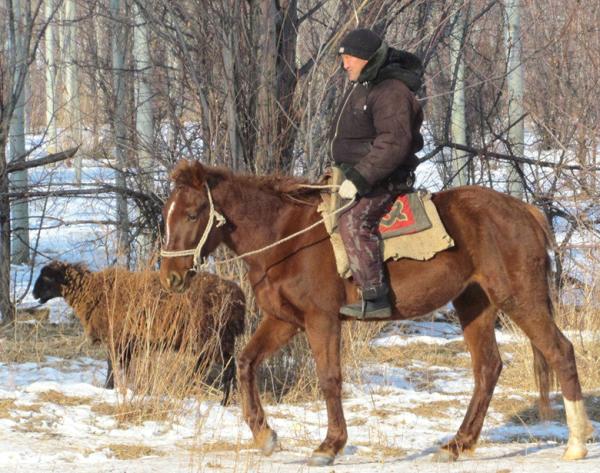 Issyk-Kul horseman