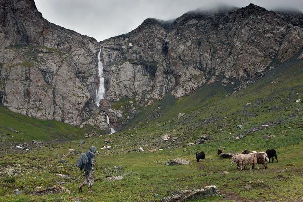 Shaar Waterfall