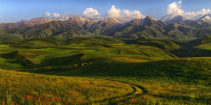 Kyrgyz Ala-Too