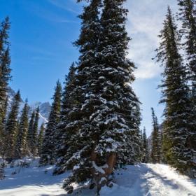 <p>In winter you can see beautiful phenomenon such as frozen waterfalls, get a dose of adrenalin from skiing, or simply enjoy the scenery of snow-capped mountains.</p>
