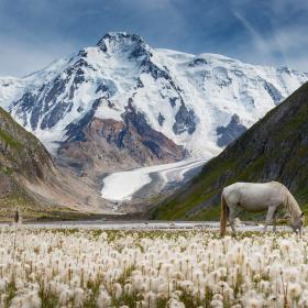 <p>Kyrgyzstan is Elysium for travelers who wish to discover new horizons and come into contact with the nature.</p>
