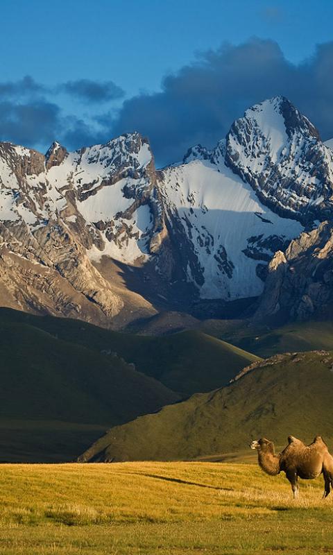 Silk Road