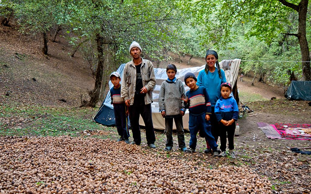 Walnut and fruit forests of Arslanbob