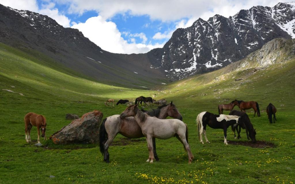 Horseback adventures in Central Tien-Shan