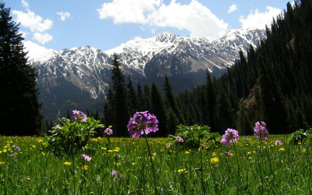 Jyrgalan valley