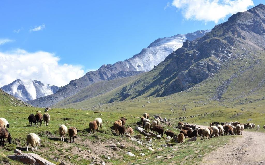 Tosor Pass