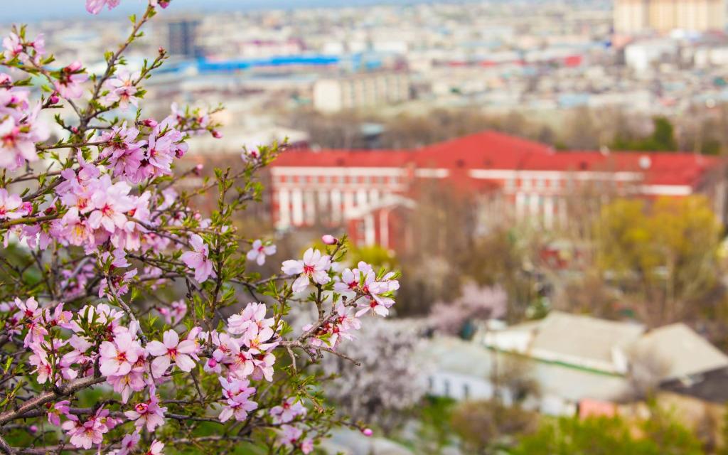 Osh city