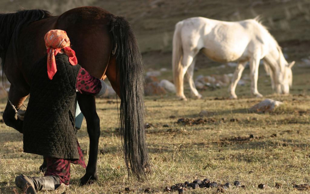 Treatment Kyrgyzstan