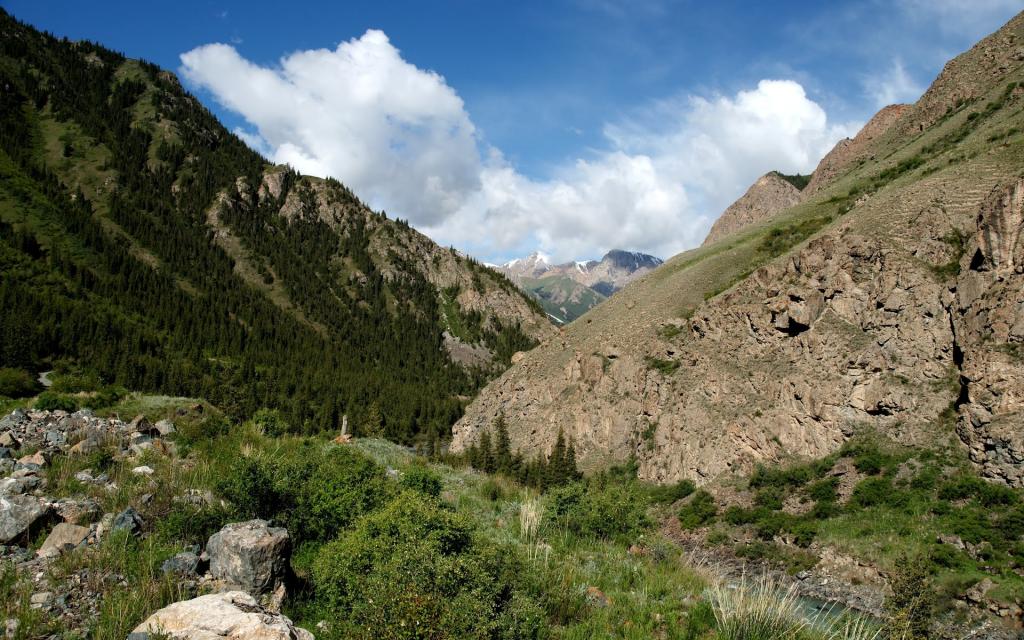 Naryn Reserve