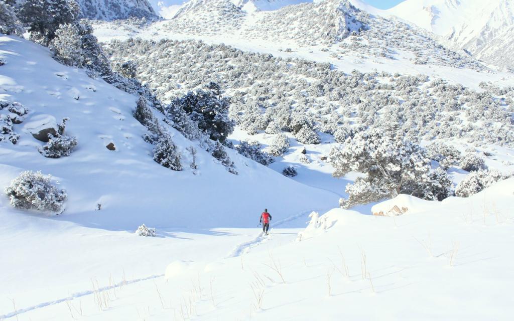 National Park Sarkent