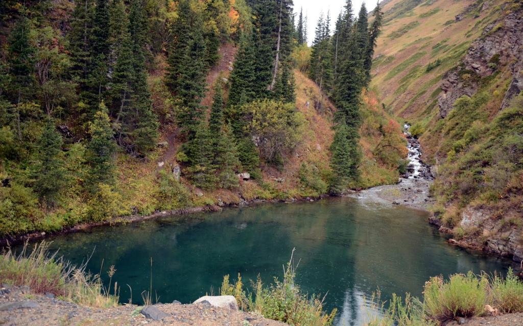 Naryn Reserve