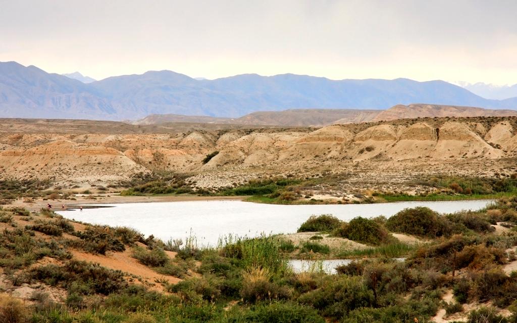 Dead Sea Karakul