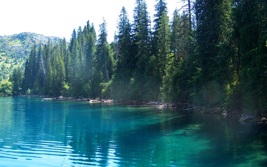 Sary Chelek Reserve