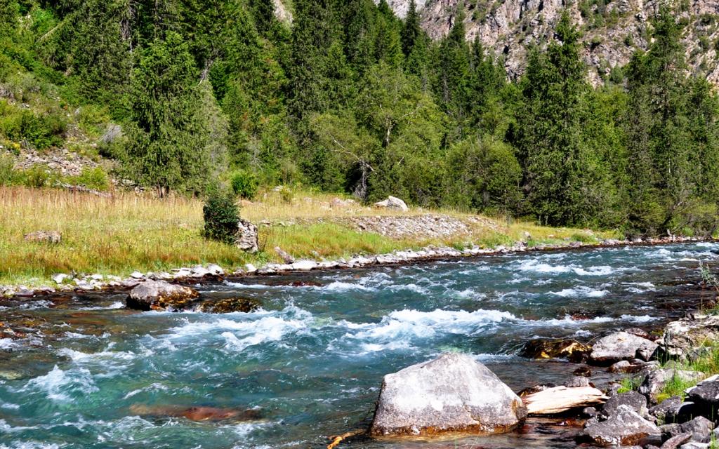 Padysh-Ata Reserve