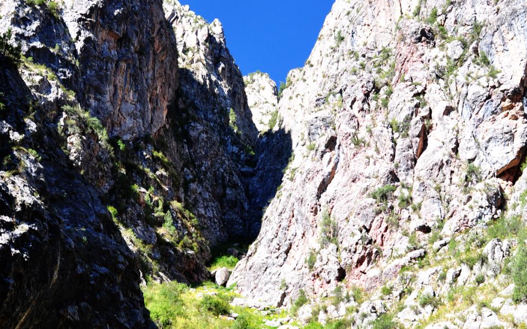 Padysh-Ata Reserve