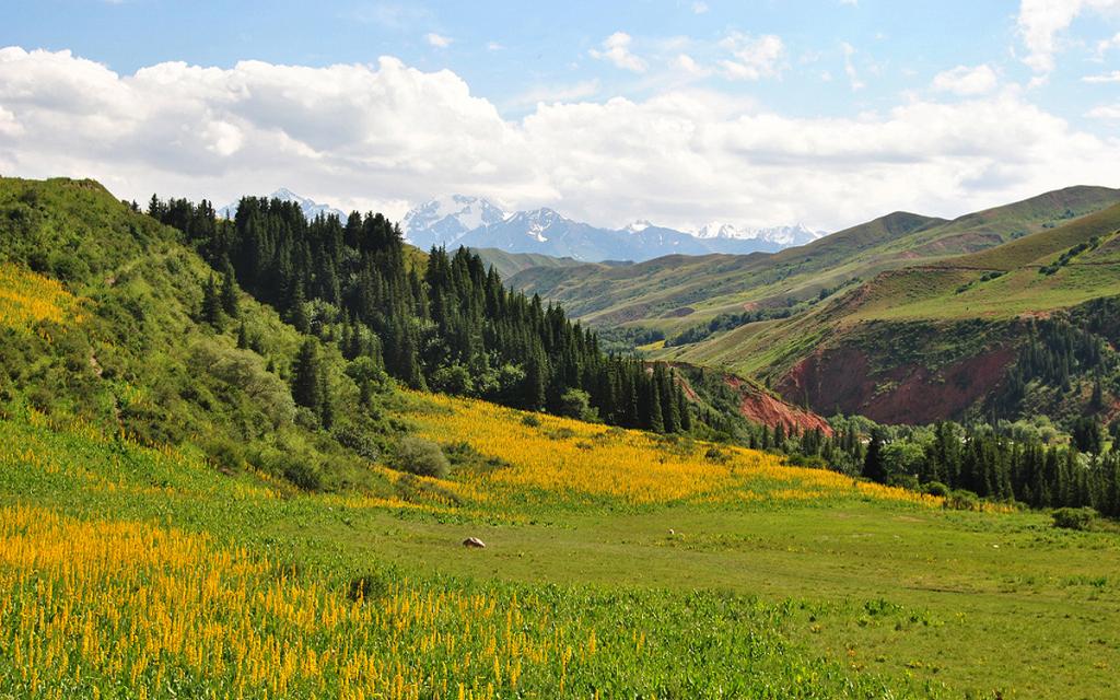 Eki-Naryn Valley