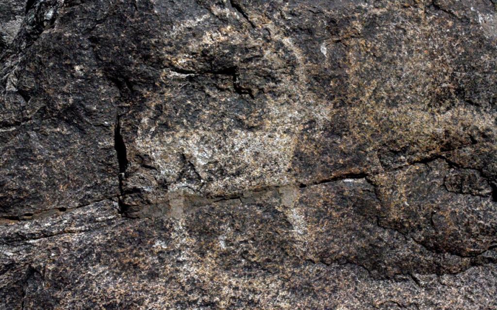Petroglyphs of Ornok
