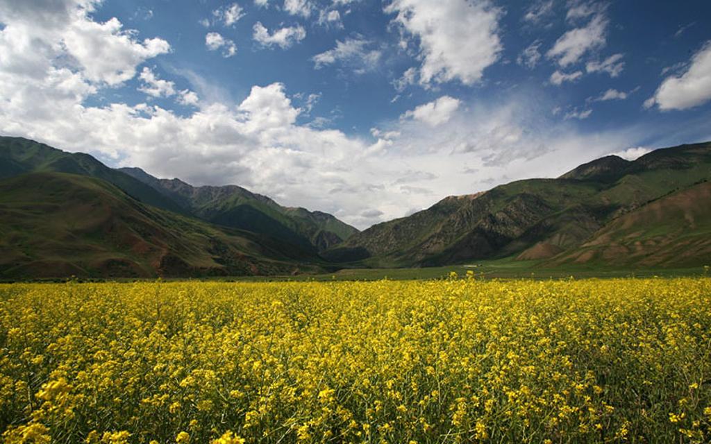 Eki-Naryn Valley