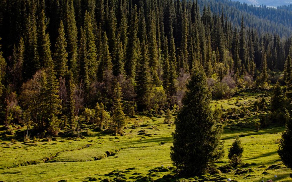 Chong Ak-Suu Gorge