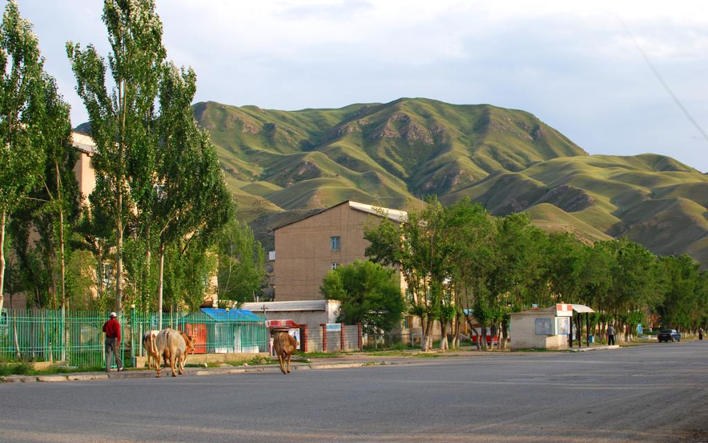 Naryn