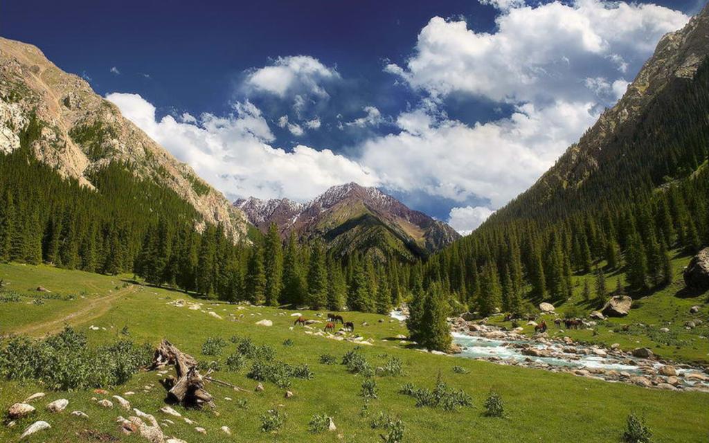 Chon-Kyzyl-Suu Gorge