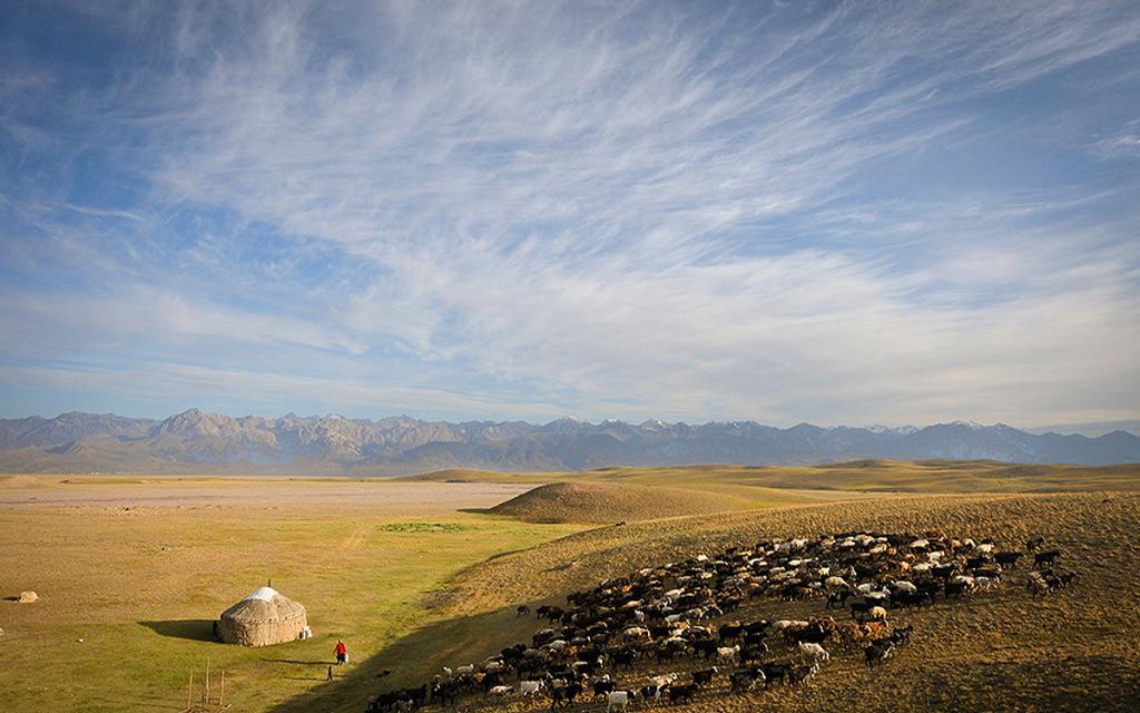 Alay Valley
