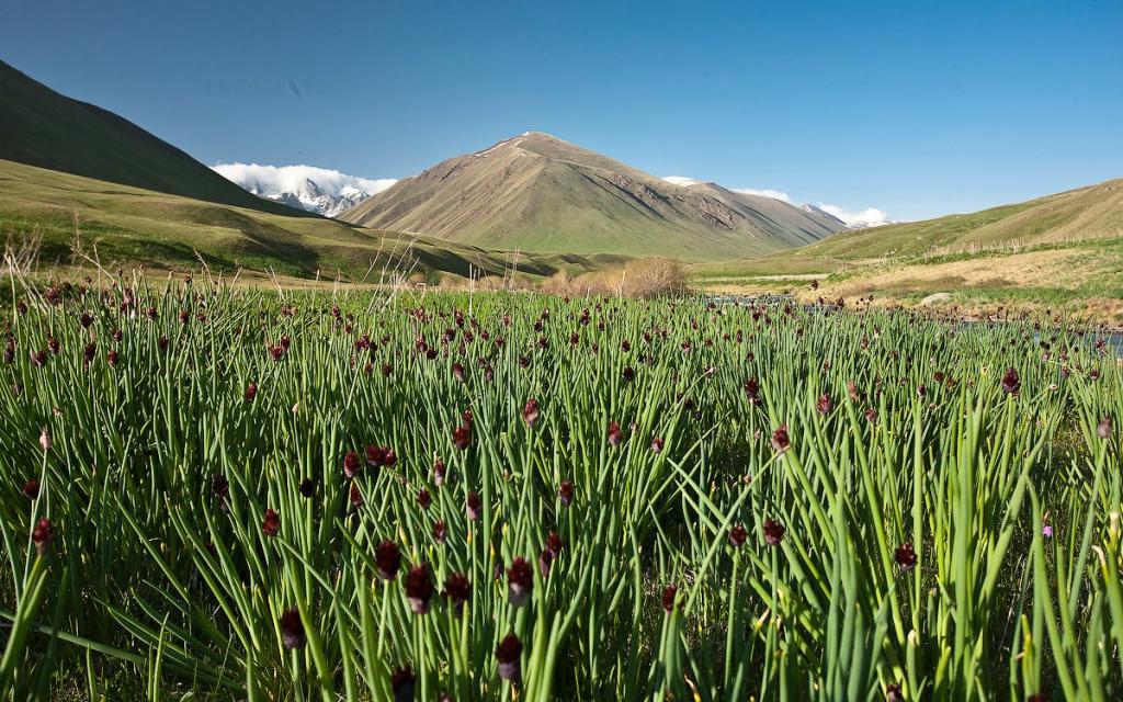 Suusamyr Valley