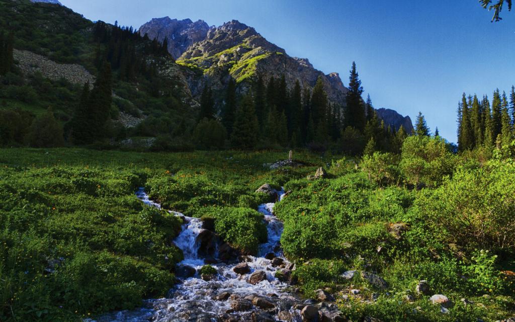National Park Ala-Archa