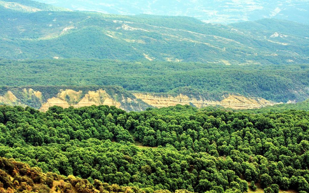 Walnut and fruit forests of Arslanbob