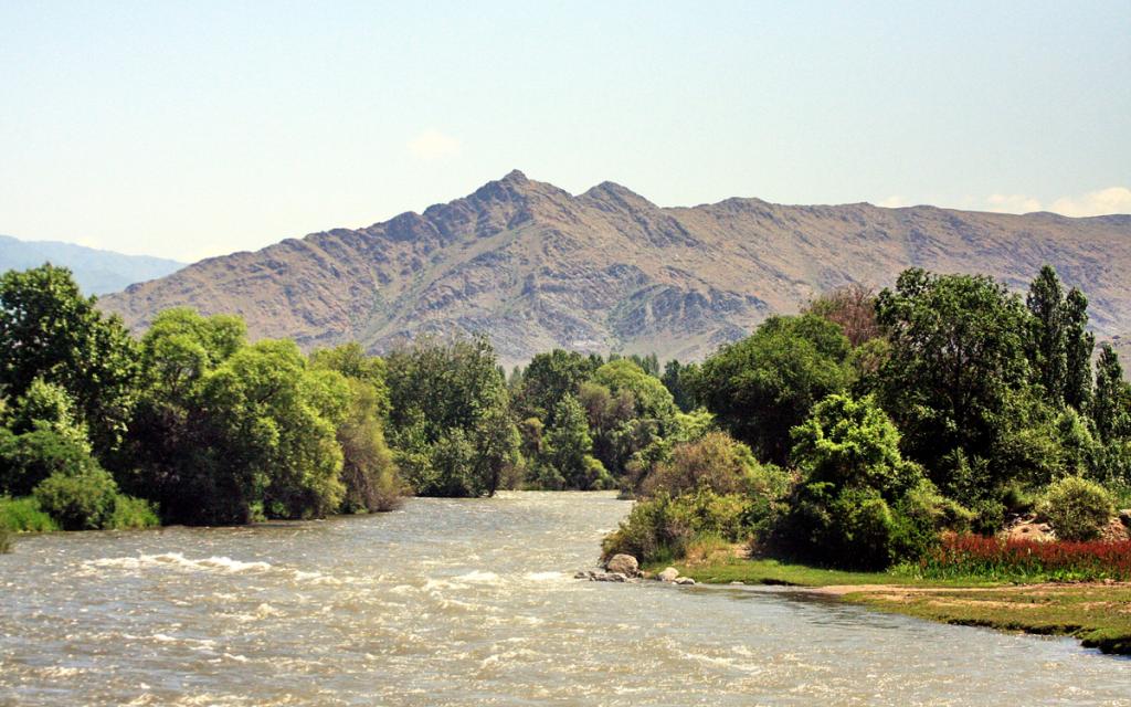 Talas