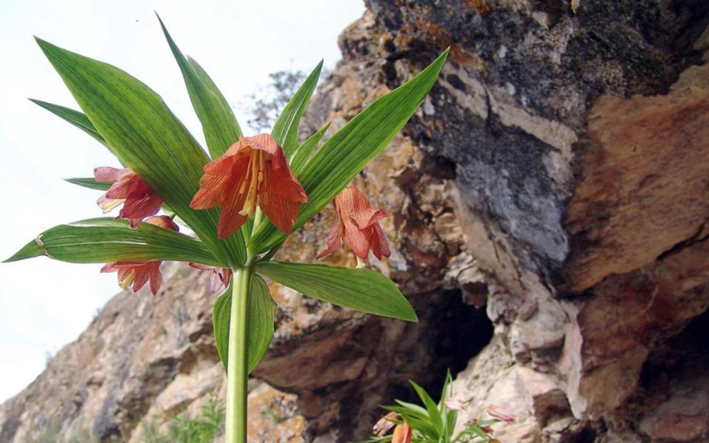 Aigul-Tash Mountain