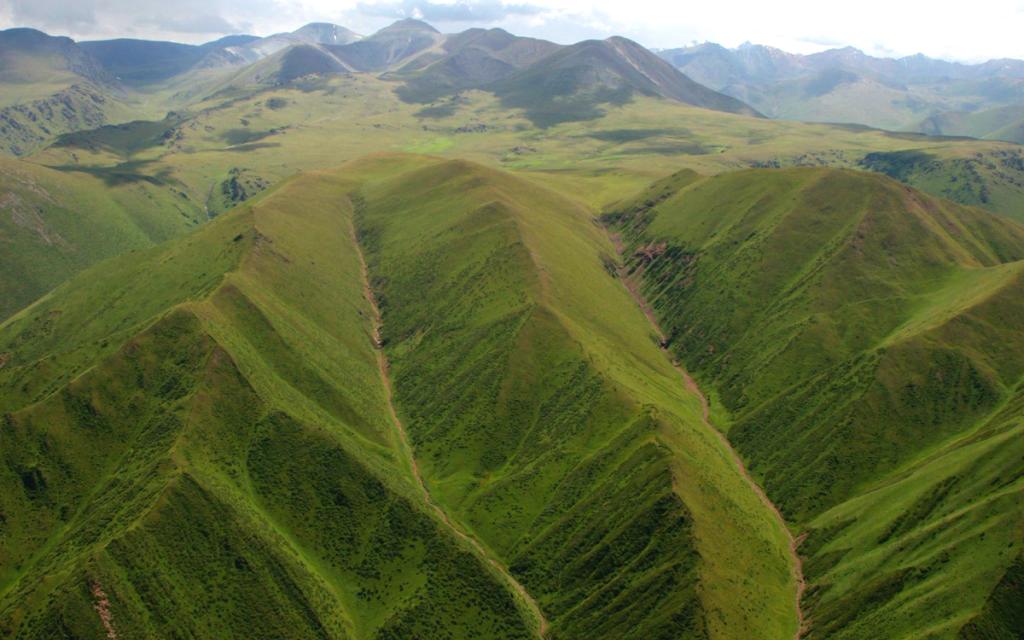 Besh-Aral Reserve