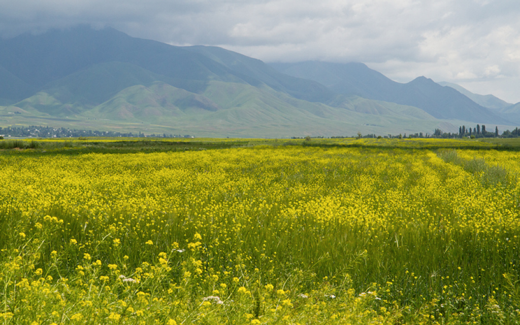 Chon-Kemin National Park