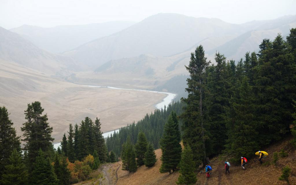 Naryn Reserve