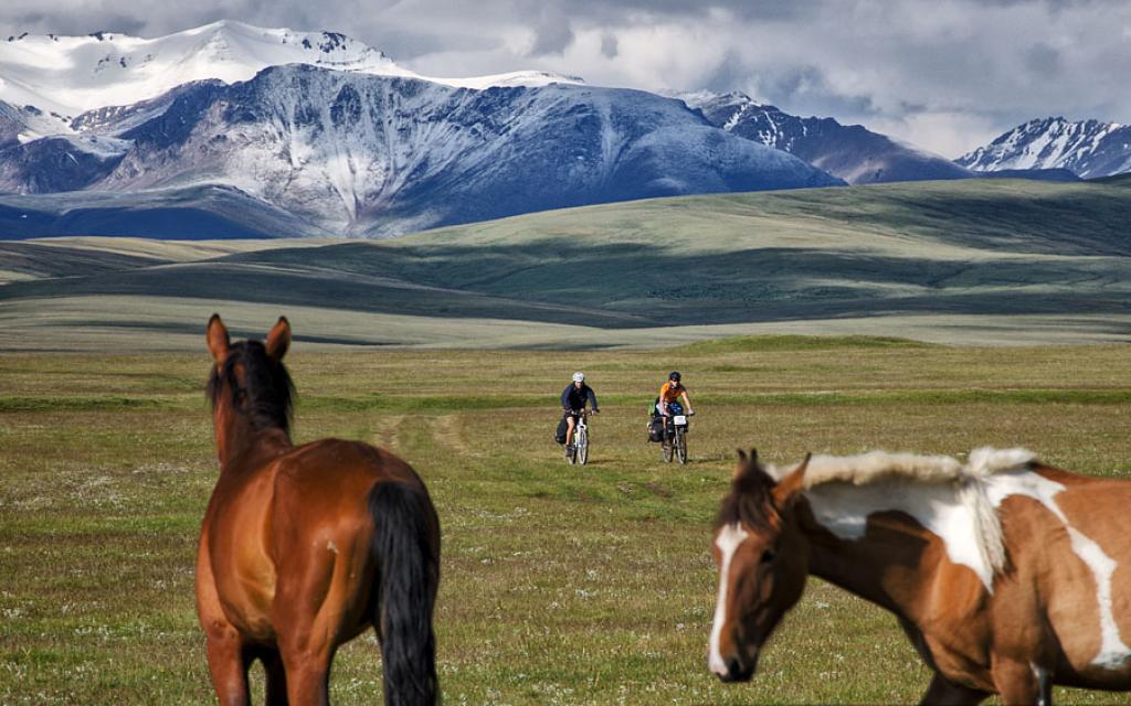 Horses at valley Kyrgyzstan