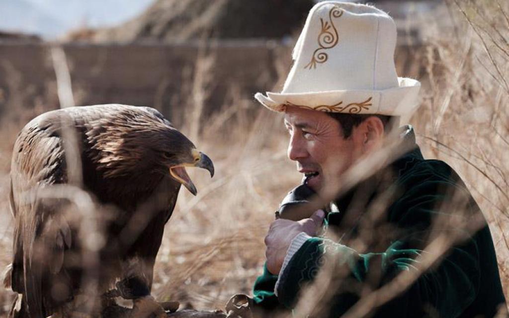 Falconer In Bokonbaevo
