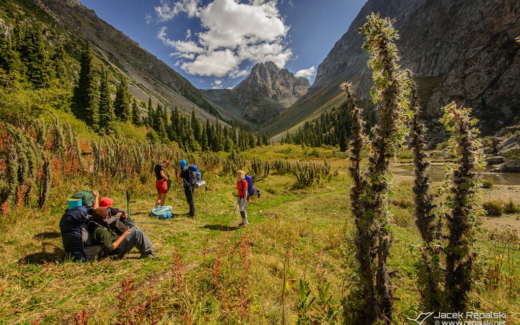 Karakol Gorge