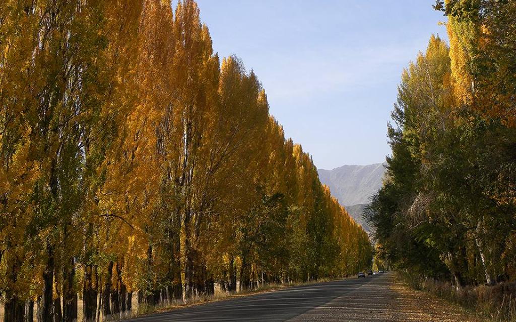 Autumn Kyrgyzstan