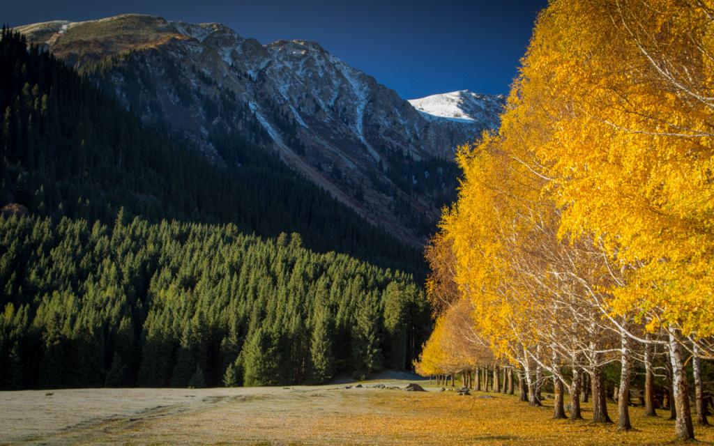 Autumn Kyrgyzstan