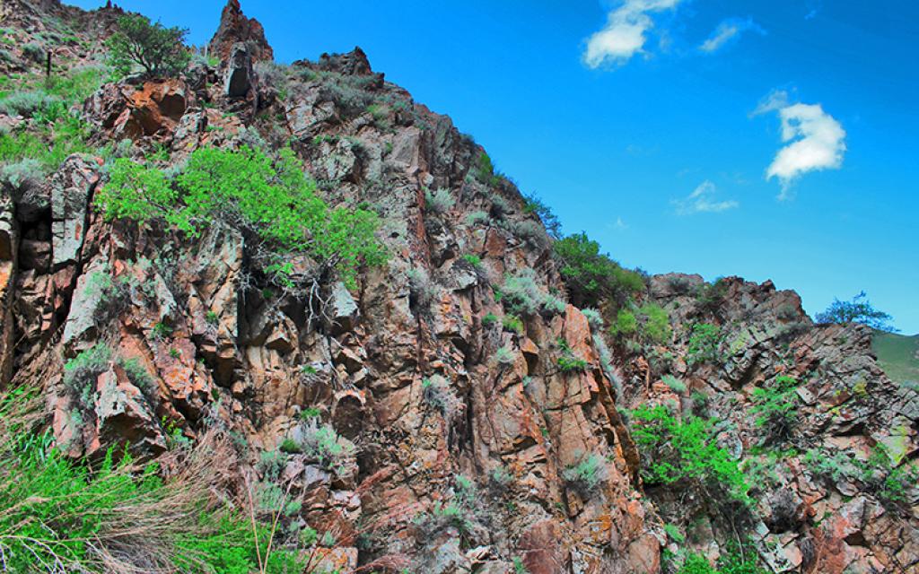 Kara-Bulak