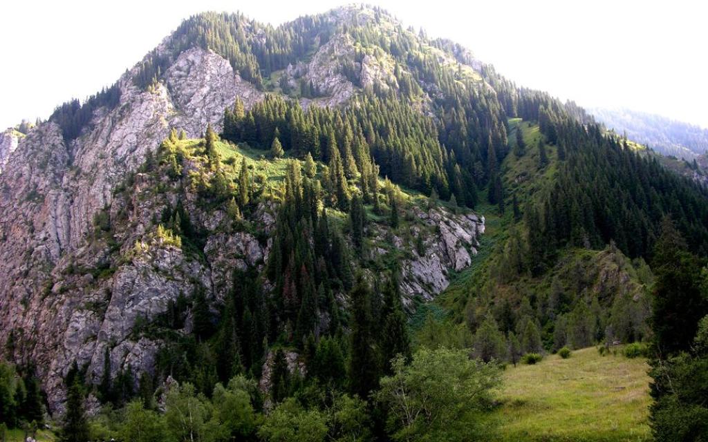 Padysh-Ata Reserve