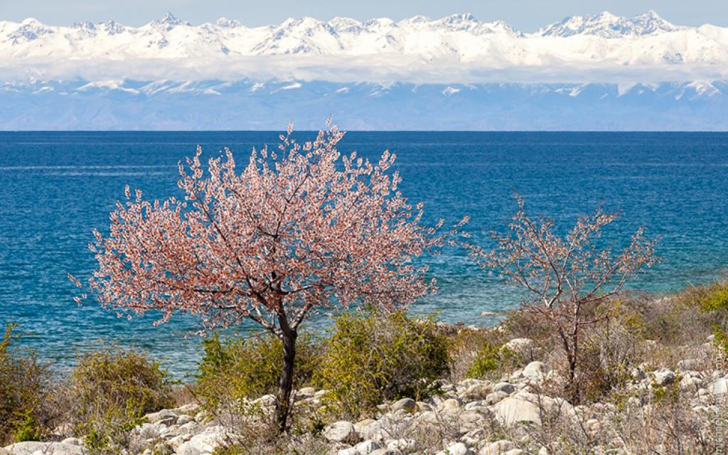 Issyk-Kul