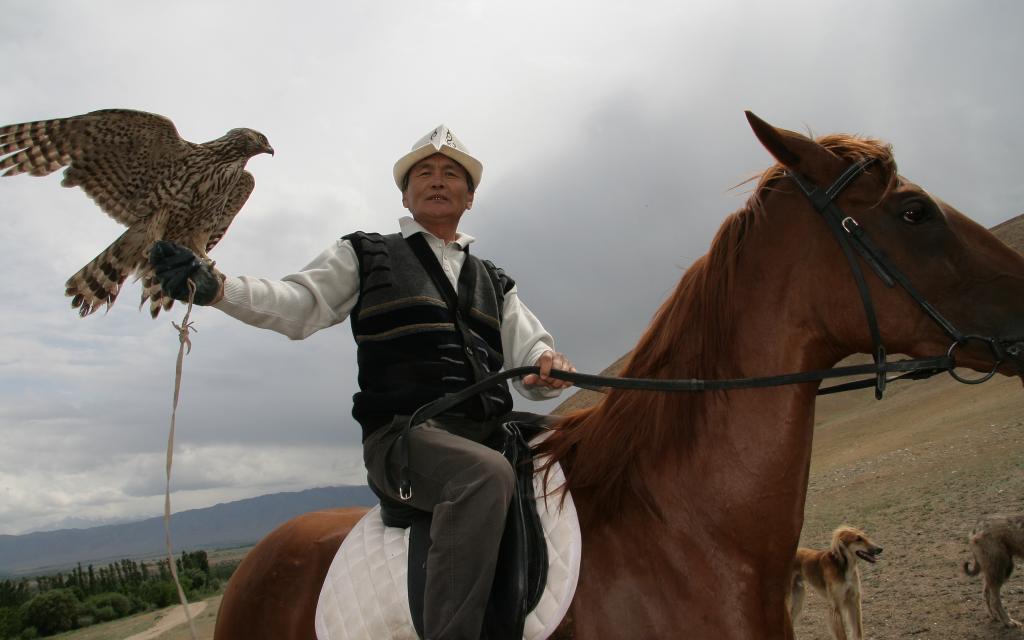 Talas
